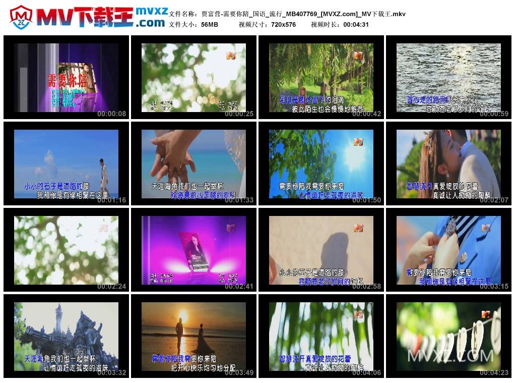 贾富营-需要你陪_国语_流行_MB407769